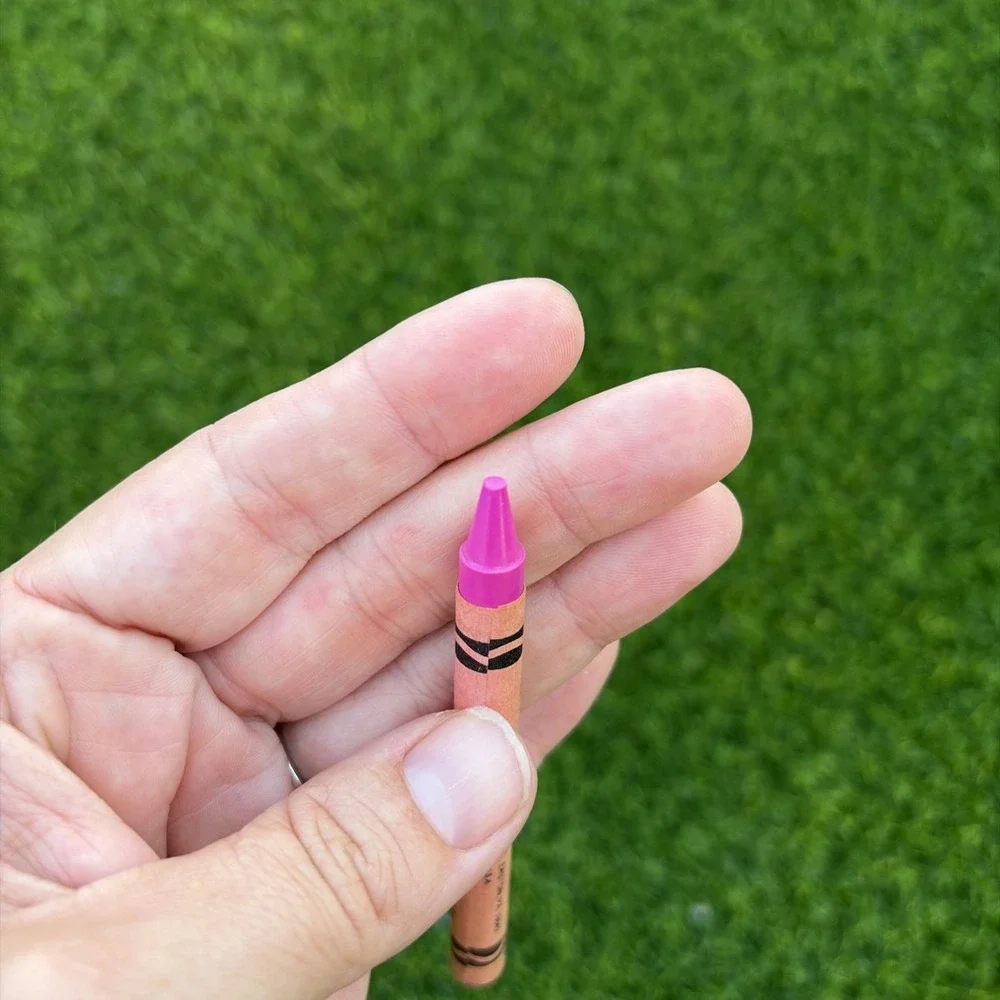 Thistle Crayola Crayon  Retired USA UNUSED Vintage Binney & Smith